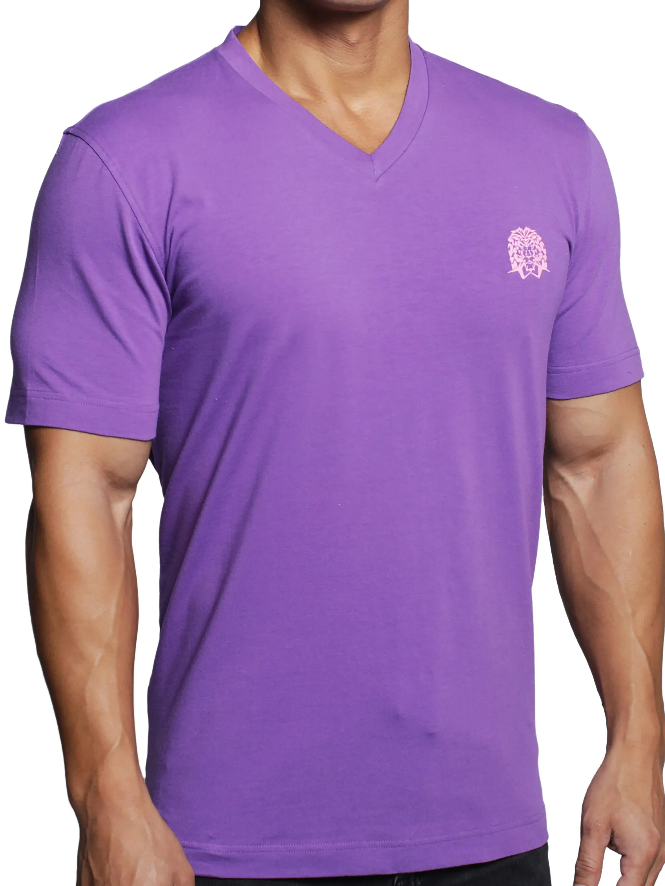V-Neck VivaldiMono Purple